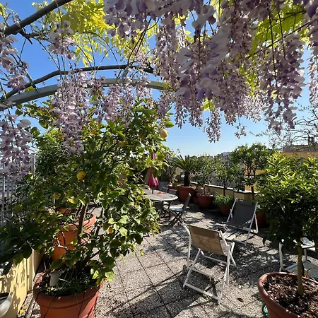 Dream Garden Center On Subway 10 Guest Apartment Milan
